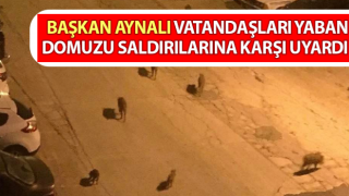 Vatandaşları yaban domuzu saldırılarına karşı uyardı