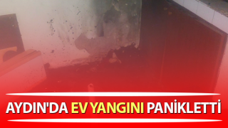 Aydın'da ev yangını panikletti