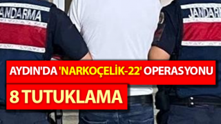 Aydın'da 'Narkoçelik-22' operasyonu