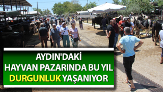 Aydın'daki hayvan pazarında bu yıl durgunluk yaşanıyor