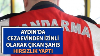 Cezaevinden izinli olarak çıkıp hırsızlık yaptı