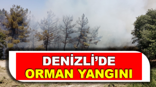 Denizli’de orman yangınına müdahale ediliyor