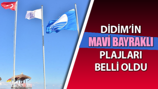 Didim’de 12 plaj ve 1 marina mavi bayrak aldı