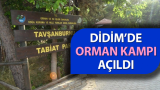 Didim’de orman kampı açıldı