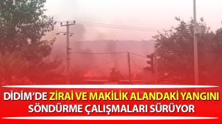 Didim’de zirai ve makilik alanda yangın