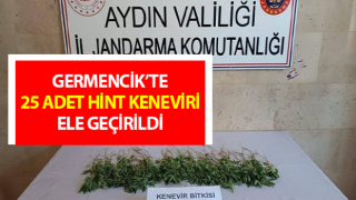 Germencik’te 25 adet hint keneviri ele geçirildi