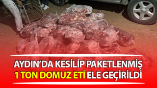 İncirliova'da 1 ton domuz eti ele geçirildi