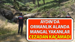 İzinsiz ormanlık alanda mangal yakan 27 şahsa 55 bin TL ceza