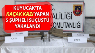 Kaçak tarihi eser kazısına suçüstü: 5 şüpheli yakalandı