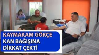 Kaymakam Gökçe kan bağışına dikkat çekti