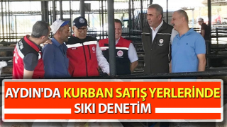 Kurbanlık hayvan satışı yapılan alanlarda denetim