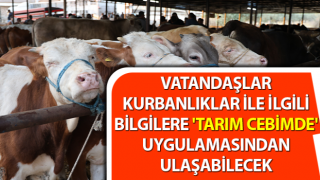 Kurbanlıklar ile ilgili bilgilere 'Tarım Cebimde' uygulamasından ulaşılabilecek