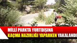 Milli parkta yurtdışına kaçma hazırlığı yaparken yakalandı