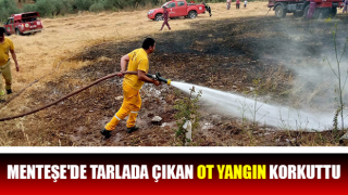 Muğla’da tarla yangını!