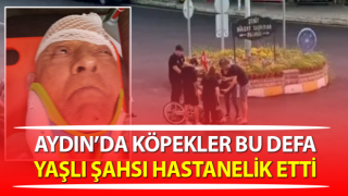 Nazilli’de köpekler yaşlı bir şahsı hastanelik etti