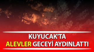 Ormanlık alanda çıkan yangın geceyi aydınlattı