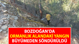 Ormanlık alandaki yangın büyümeden söndürüldü