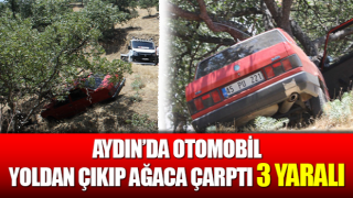 Otomobil yoldan çıkıp ağaca çarptı: 3 yaralı