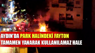 Park halindeki fayton tamamen yanarak kullanılamaz hale geldi