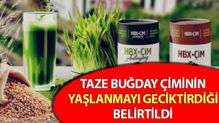 Taze buğday çiminin yaşlanmayı geciktirdiği belirtildi