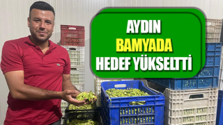 Aydın, bamyada hedef yükseltti