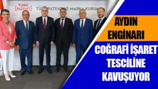 Aydın enginarı coğrafi işaret tesciline kavuşuyor