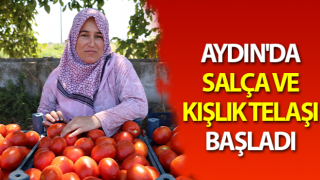 Aydın'da salça ve kışlık telaşı başladı