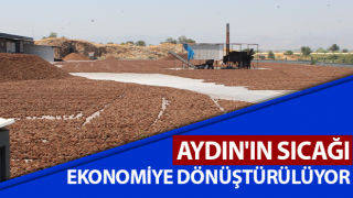 Aydın'ın sıcağı ekonomiye dönüştürülüyor