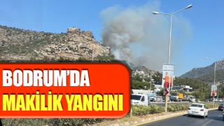 Bodrum’da makilik yangını