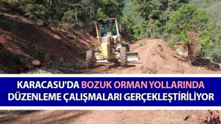 Bozuk orman yollarında düzenleme çalışmaları gerçekleştiriliyor