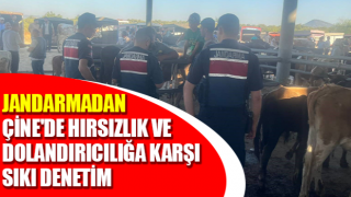 Çine'de hırsızlık ve dolandırıcılığa karşı sıkı denetim