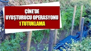 Çine'de uyuşturucu operasyonu: 1 tutuklama