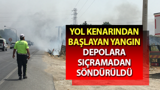 Efeler’de yol kenarından başlayan yangın söndürüldü