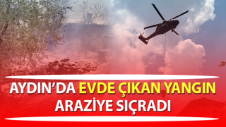 Evde çıkan yangın araziye sıçradı