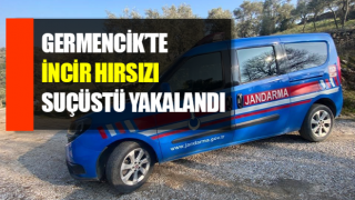 İncir hırsızı suçüstü yakalandı