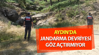 Jandarma devriyesi göz açtırmıyor