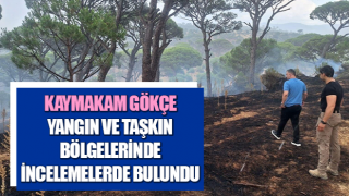 Kaymakam Gökçe, yangın ve taşkın bölgelerinde incelemelerde bulundu