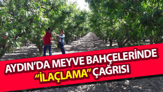 Meyve bahçelerinde “ilaçlama” çağrısı