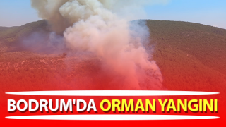 Muğla’da orman yangını