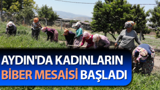 Sıcaklar Egeli kadınları yıldırmıyor