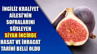 Siyah incirde hasat ve ihracat tarihi belli oldu