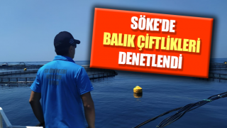 Söke'de balık çiftlikleri denetlendi