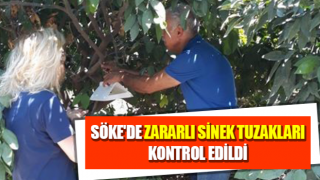 Söke'de zararlı sinek tuzakları kontrol edildi