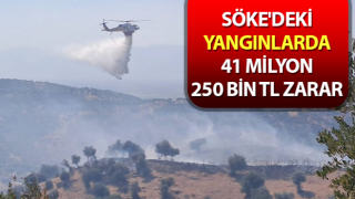 Söke'deki yangınlarda 41 milyon 250 bin TL zarar