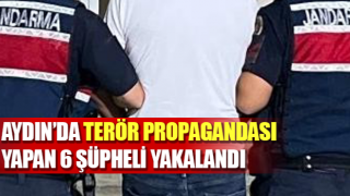 Terör propagandası yapan 6 şüpheli yakalandı