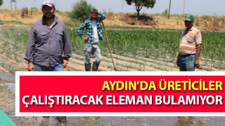 Üreticiler çalıştıracak eleman bulamıyor