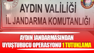 Aydın jandarmasından uyuşturucu operasyonu