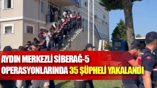 Aydın merkezli Siberağ-5 operasyonu