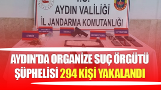 Aydın'da 294 kişi yakalandı