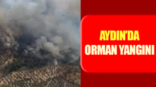 Aydın’da orman yangını